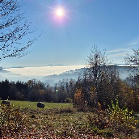 Apartament Mountains Gory Sowie Jugów Exteriör bild